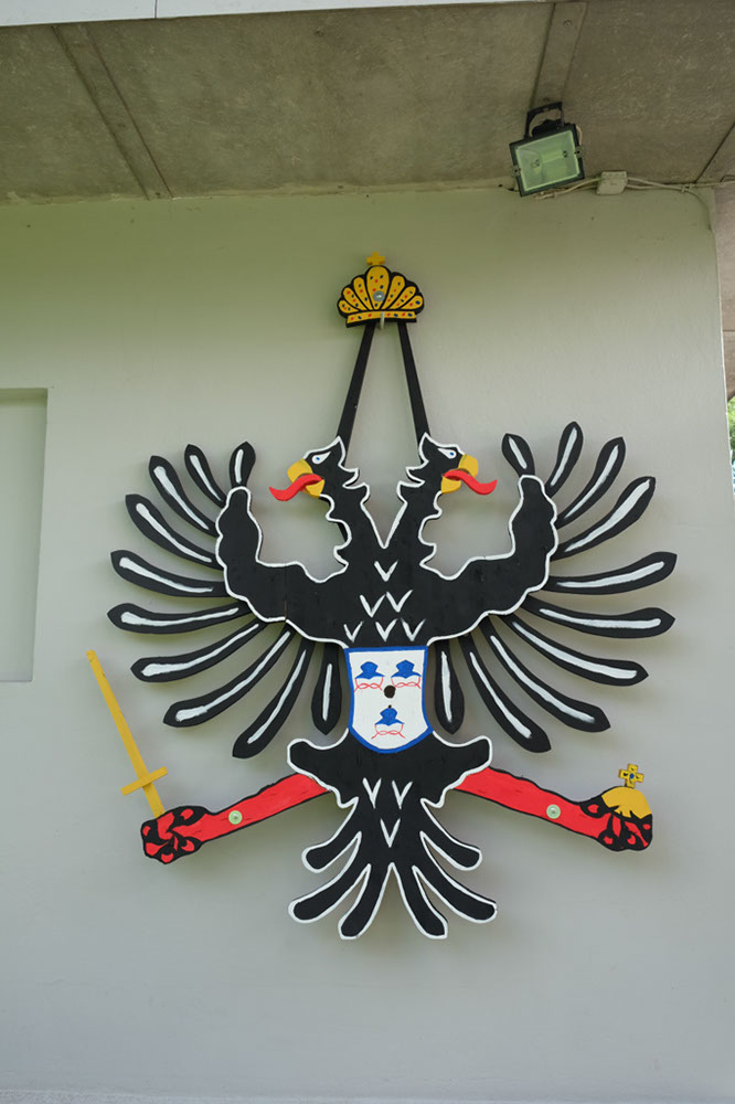 DSCF6139
