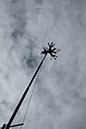 DSCF6260