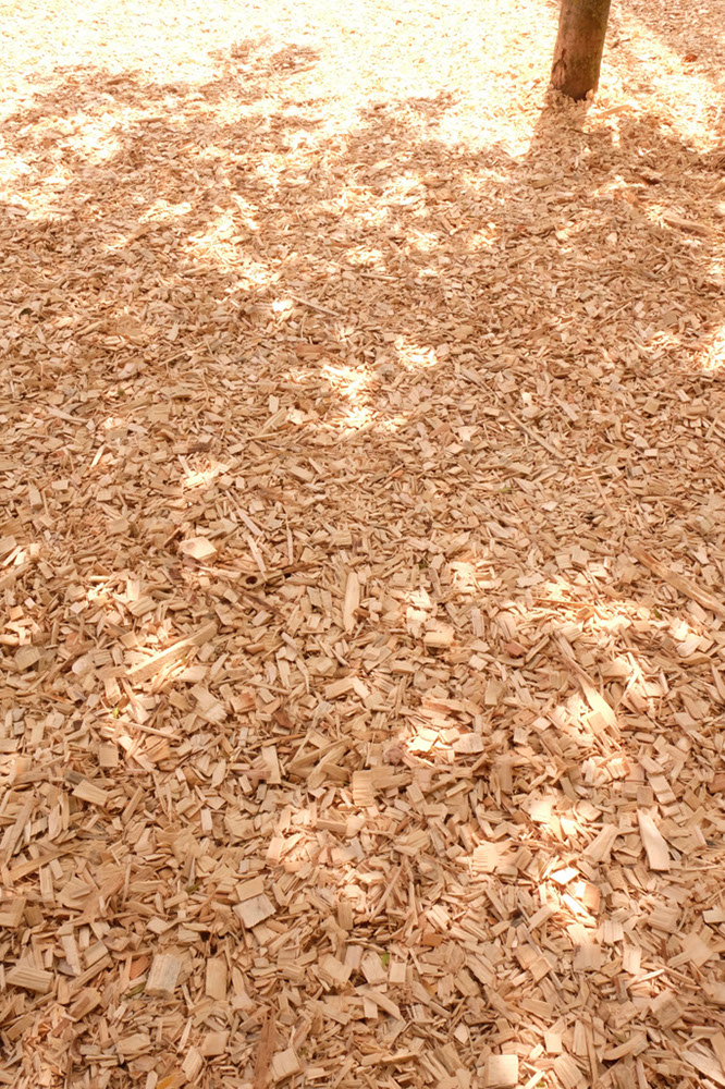 DSCF6051
