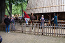 DSCF7569