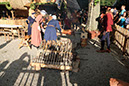 DSCF8554