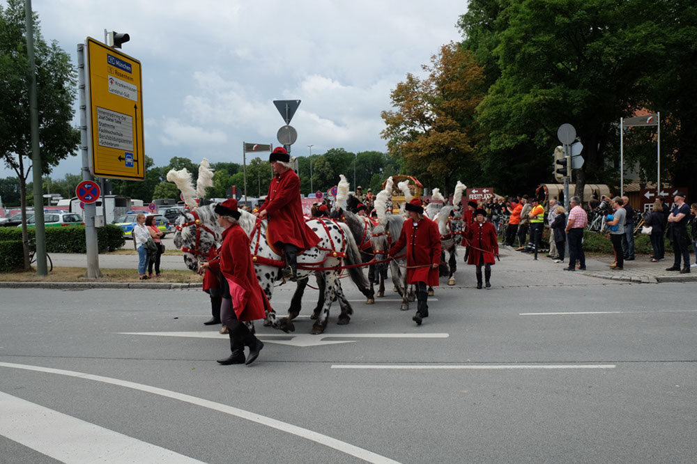DSCF6629