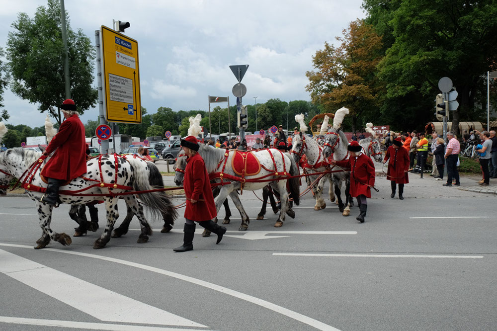 DSCF6630