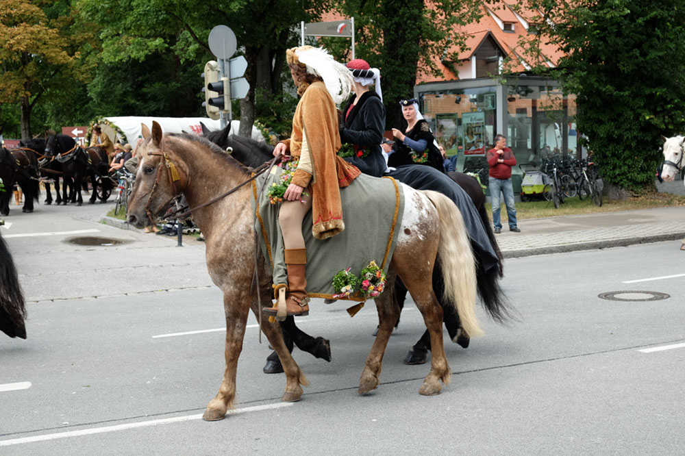 DSCF6641