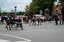 DSCF6640
