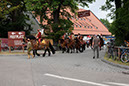 DSCF6510