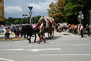 DSCF6658