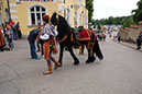 DSCF6546