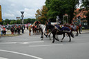 DSCF6639