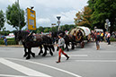 DSCF6648