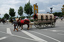 DSCF6644