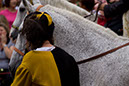 IMG_1719