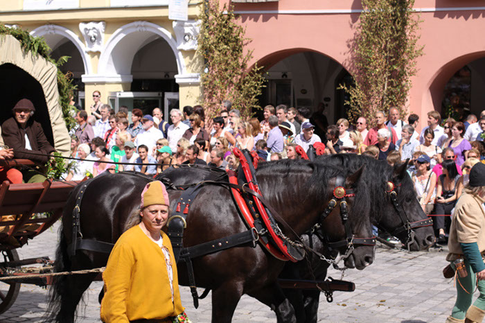 IMG_2150